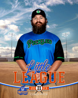 PICKLES.CP.BASEBALL 009 of 14