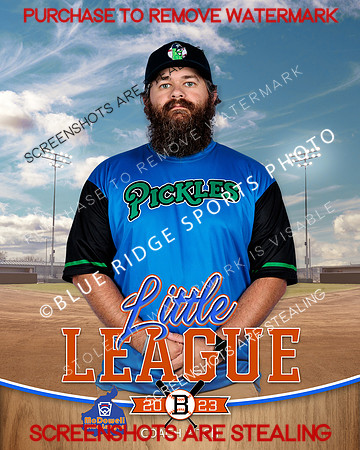 PICKLES.CP.BASEBALL 009 of 14