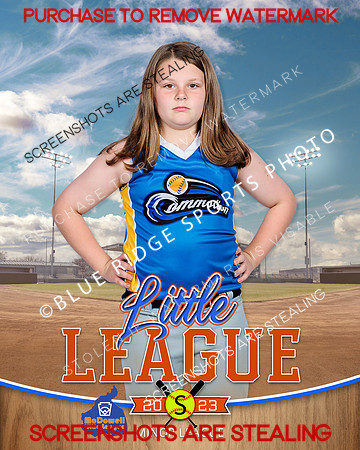 COMMOTION.MINORS.SOFTBALL 002 of 10