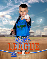 PICKLES.CP.BASEBALL 003 of 14
