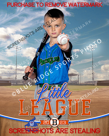 PICKLES.CP.BASEBALL 003 of 14