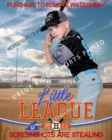 RENEGADES.MINORS.BASEBALL 002 of 6