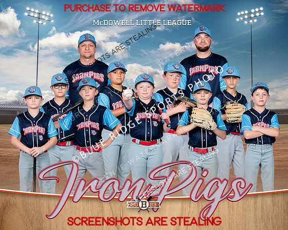 1 Ironpigs