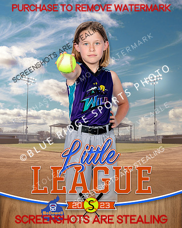 WILD.CP.SOFTBALL 013 of 14