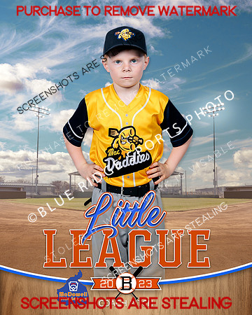 MACDADDIES.CP.BASEBALL 001 of 15
