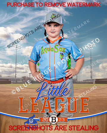 AQUASOCKS.TBALL 002 of 15