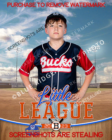 BUCKS.MAJORS.BASEBALL 012 of 12