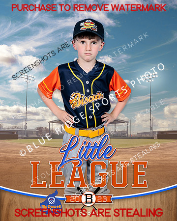 BISCUITS.TBALL 002 of 14