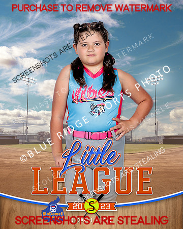 VIBES.CP.SOFTBALL 004 of 12