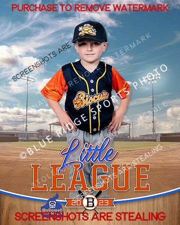 BISCUITS.TBALL 001 of 14