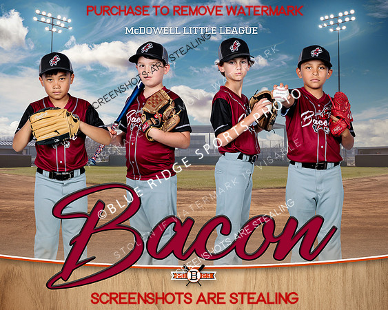 1 Bacon