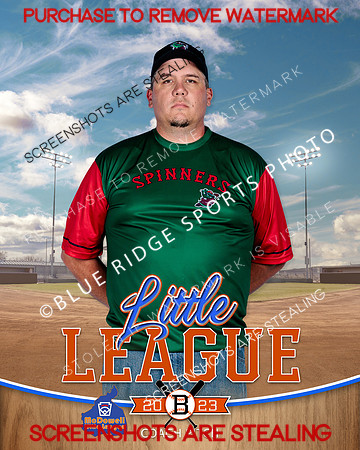SPINNERS.CP.BASEBALL 006 of 13