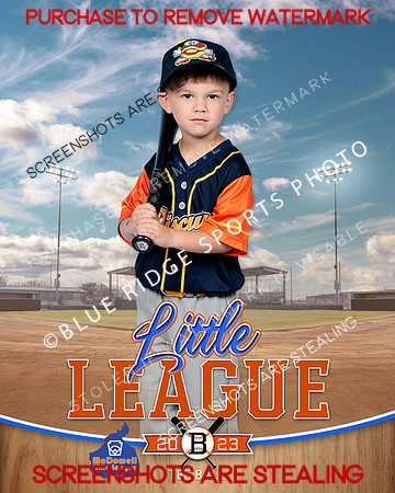 BISCUITS.TBALL 010 of 14