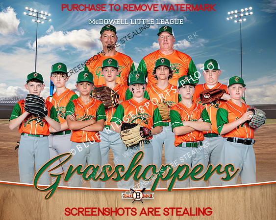 1 Grasshoppers