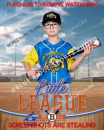 STUDMUFFINS.CP.BASEBALL 003 of 14
