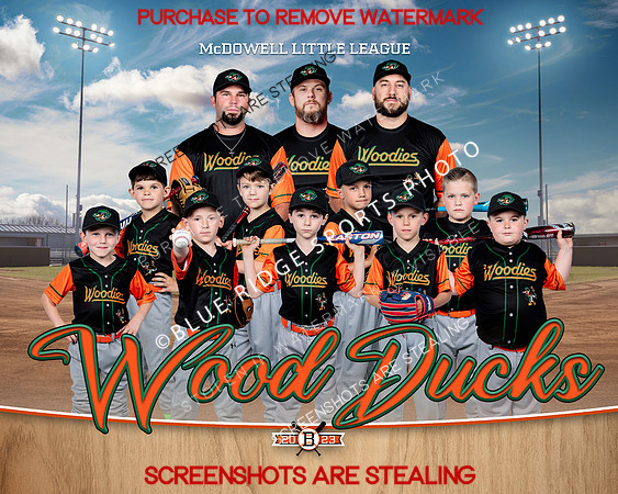 1 woodducks