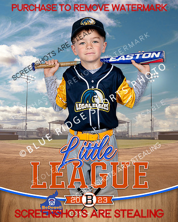 LEGALEAGLES.CP.BASEBALL 004 of 12