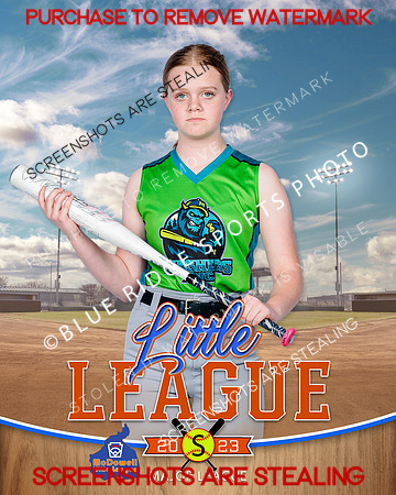 MASHERS.MAJORS.SOFTBALL 004 of 10