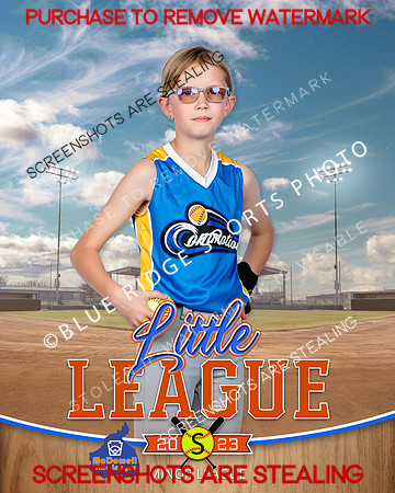 COMMOTION.MINORS.SOFTBALL 007 of 10