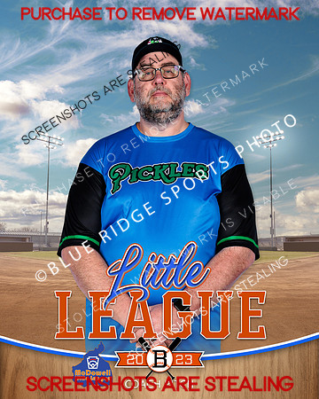 PICKLES.CP.BASEBALL 013 of 14