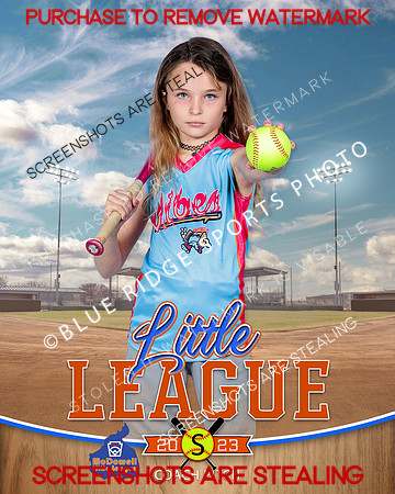 VIBES.CP.SOFTBALL 010 of 12