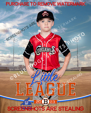 CHIHUAHUAS.CP.BASEBALL 012 of 15