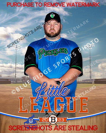 PICKLES.CP.BASEBALL 006 of 14