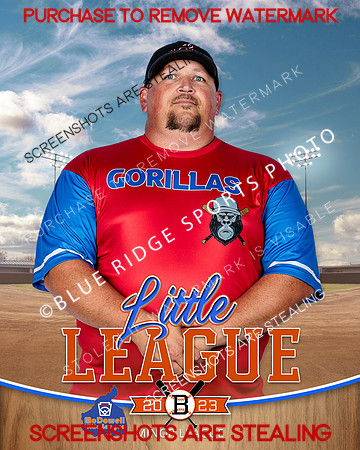 GORILLAS.MINORS.BASEBALL 006 of 10