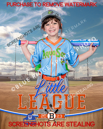 AQUASOX.IND 006 of 12