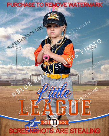 BISCUITS.TBALL 009 of 14