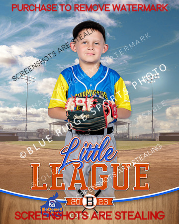 STUDMUFFINS.CP.BASEBALL 012 of 14