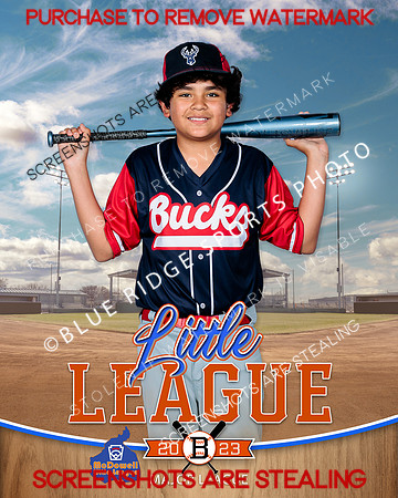 BUCK.INDV 005 of 10