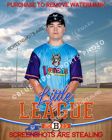 LLAMAS.CP.BASEBALL 012 of 13
