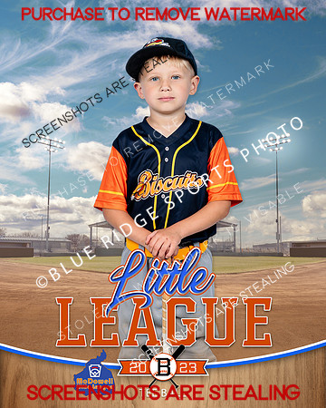BISCUITS.TBALL 008 of 14