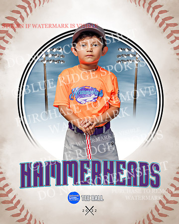 HAMMERHEADS 009 of 42