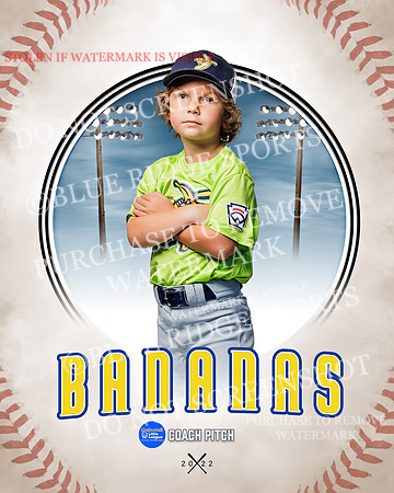 BANANAS 040 of 41
