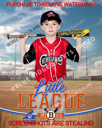 CHIHUAHUAS.CP.BASEBALL 011 of 15