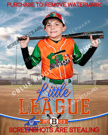 BULLFROGS.IND 008 of 10