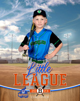 PICKLES.CP.BASEBALL 005 of 14