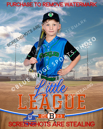 PICKLES.CP.BASEBALL 005 of 14