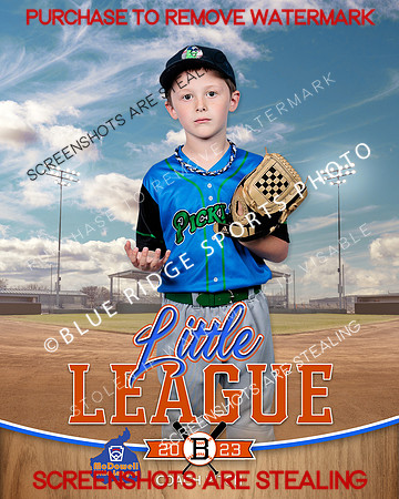 PICKLES.CP.BASEBALL 001 of 14