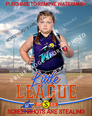 WILD.CP.SOFTBALL 001 of 14