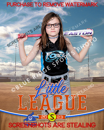 FORCE.MINORS.SOFTBALL 011 of 12