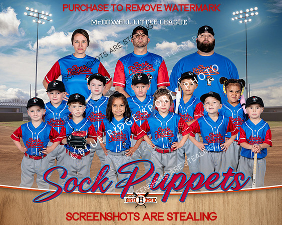 1 Sock puppets
