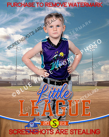 WILD.CP.SOFTBALL 010 of 14