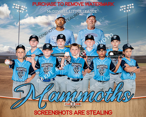 1 Mammoths