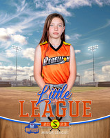 REBELLION.MINORS.SOFTBALL 006 of 13