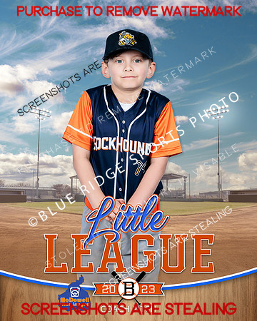 ROCKHOUNDS.CP.BASEBALL 011 of 14