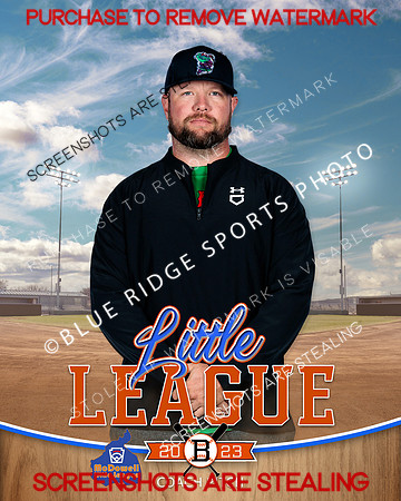 SPINNERS.CP.BASEBALL 009 of 13