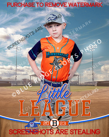 HAMMERHEADS.TBALL 003 of 12